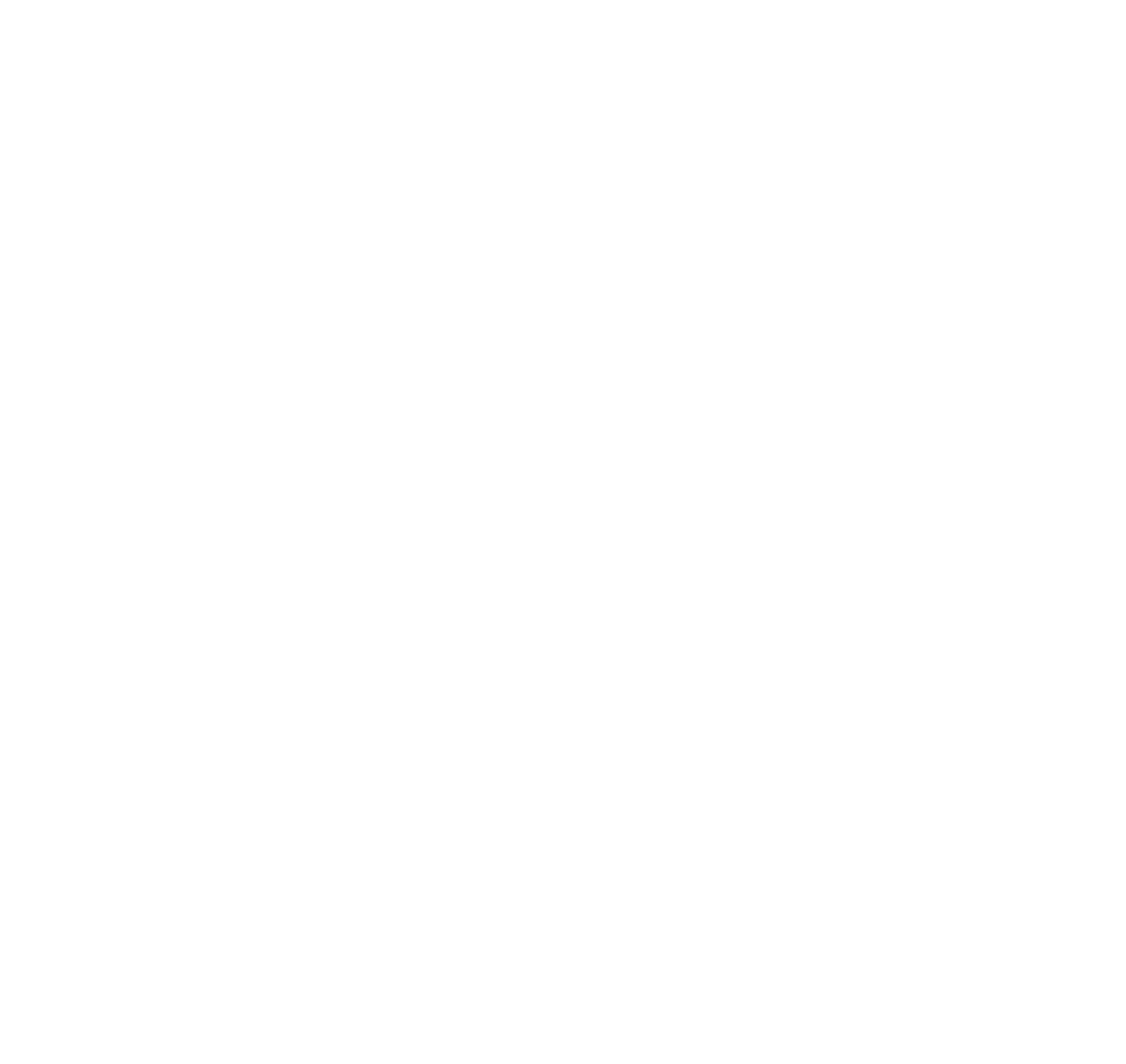 Ensana partner logó