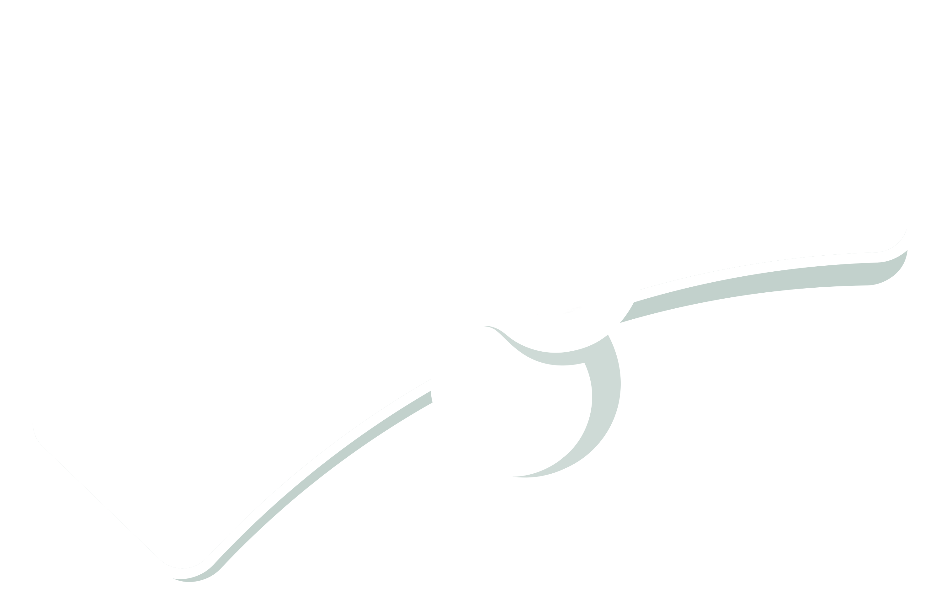 Topjoy partner logó
